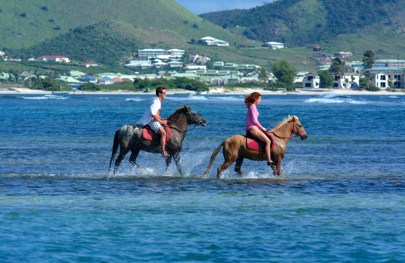 Horseback riding at Island Properties Luxury Rentals.