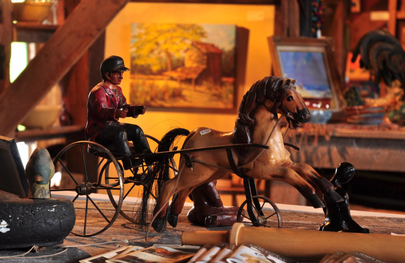 Gift shop at Beaver Dam Farm.