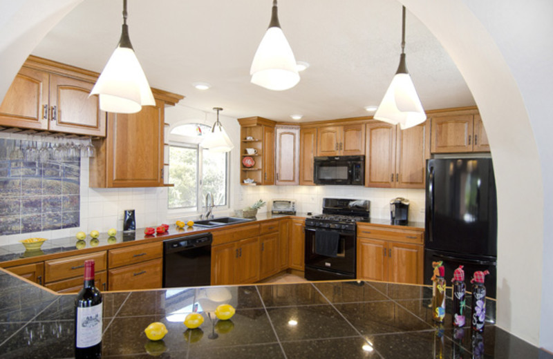 Villa kitchen at Island Properties Luxury Rentals.