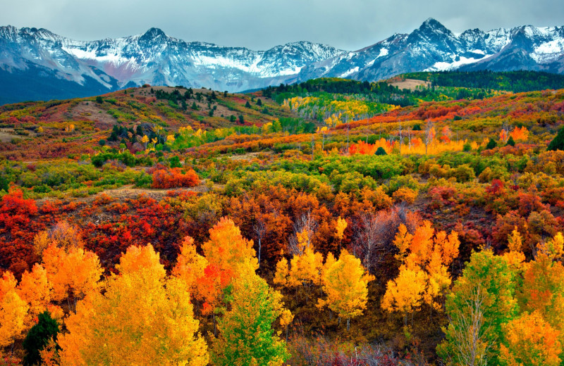 Fall colors at Vail Run Resort.