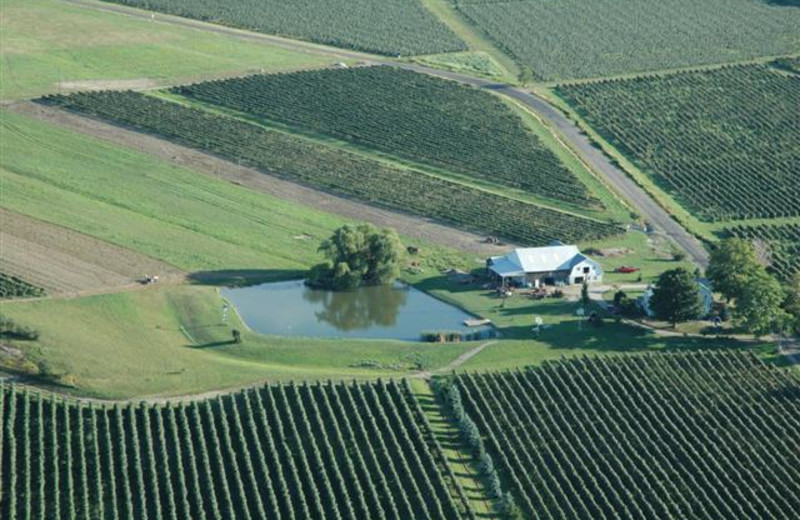 Aerial view of Contented Acres Bed & Breakfast.