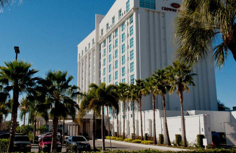 Crowne Plaza Tampa Westshore (Tampa, FL) Resort Reviews