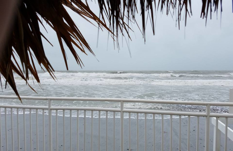 Beach at The Islander Resort.