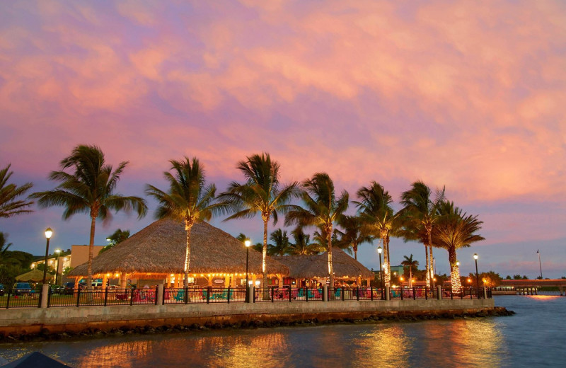 Beach at Four Points Sheraton Punta Gorda.