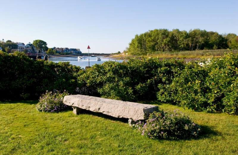 Bench at The Nonantum Resort.
