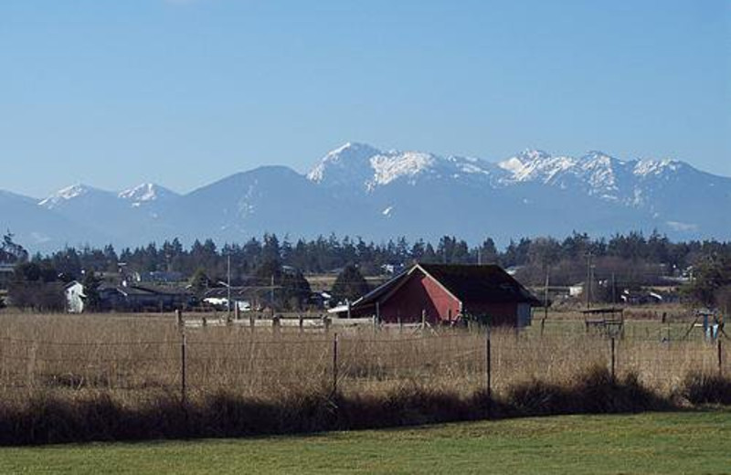 Beautiful Olympic Mountains view at Juan de Fuca Cottages.