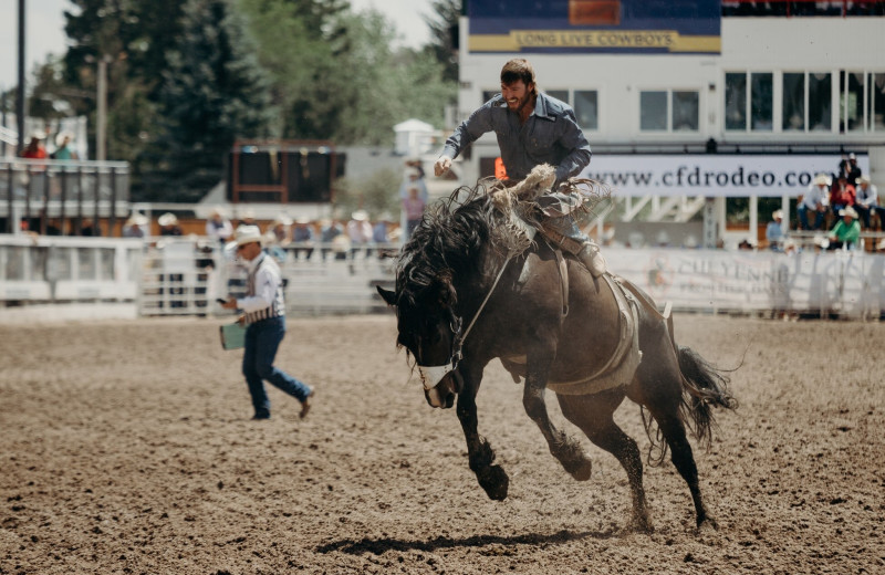 Rodeo near Woods Landing.