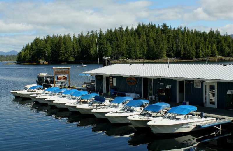 The marina at Shearwater Resort & Marina.