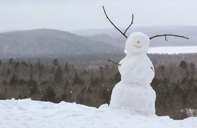 Snowman at Wolf Den Hostel and Nature Retreat.