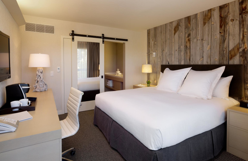 Guest Room at Hotel Paradox
