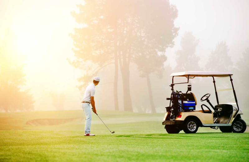 Golf at Apple Island Resort.