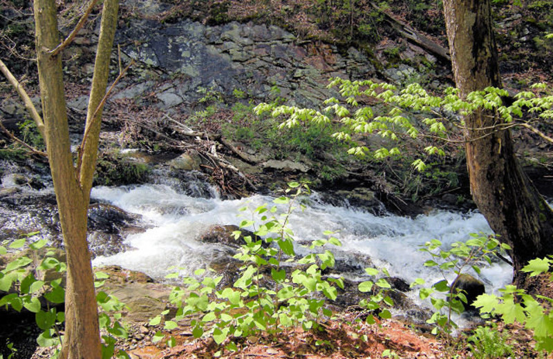 Area Surrounding Brookside Cabins