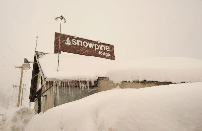 Winter time at Snowpine Lodge.