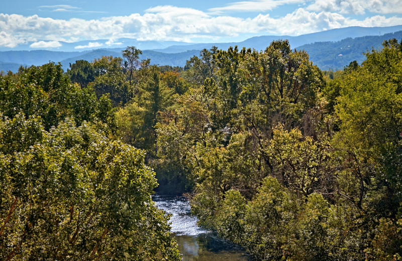 River view at the Appleview River Resort.