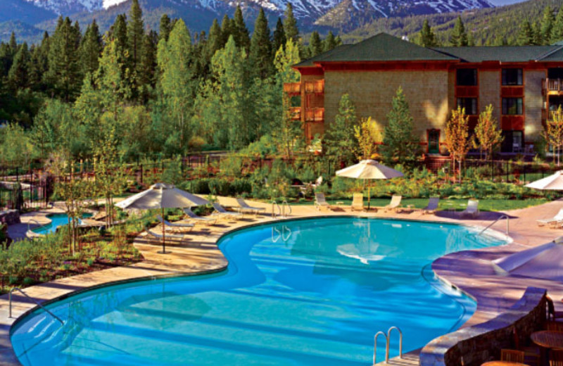 Outdoor Pool at Hyatt Regency 