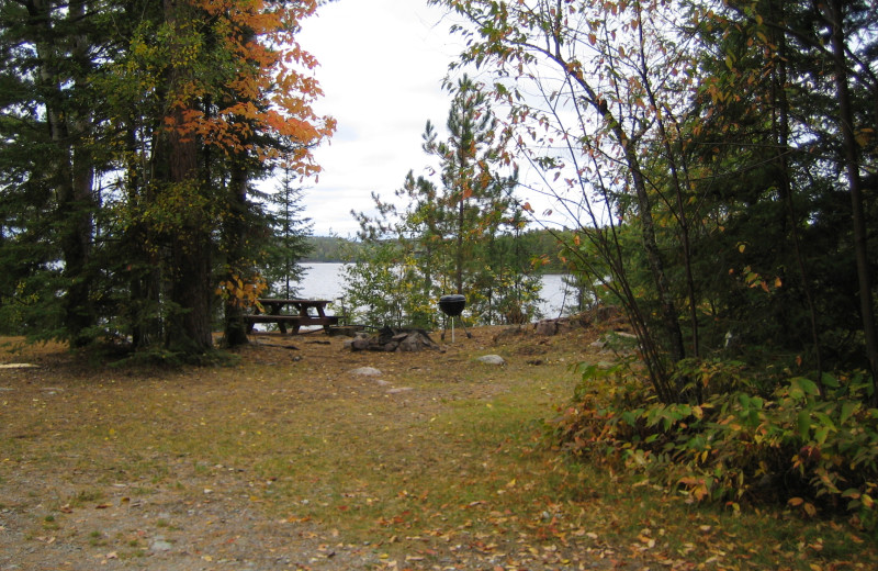 Campsite at Lodge of Whispering Pines.