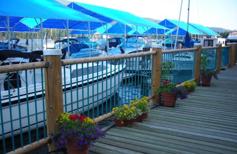 Boats at Blue Diamond Marina & Resort.