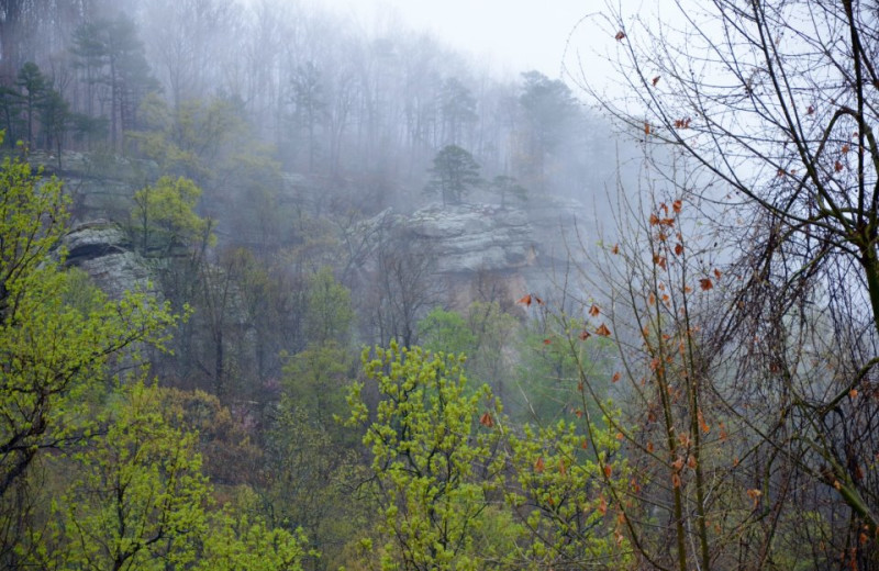 Cliffs at Horseshoe Canyon Ranch