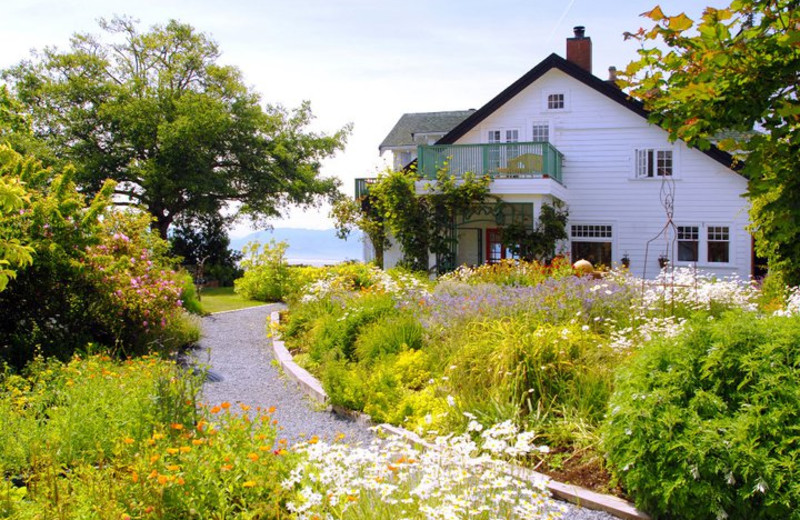 Garden view at Sooke Harbour House.