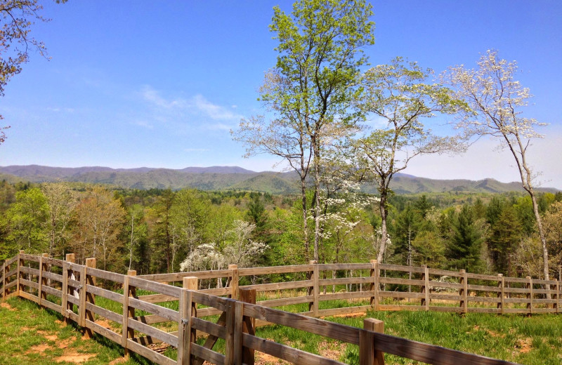 Scenic view at Cabin Rentals of Georgia.