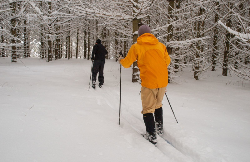 Skiing at Trout House Village Resort.