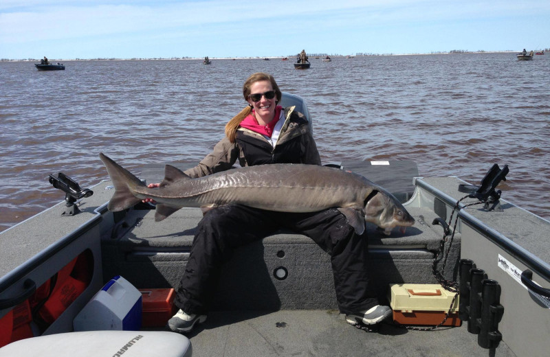 Sturgeon caught at Cyrus Resort.