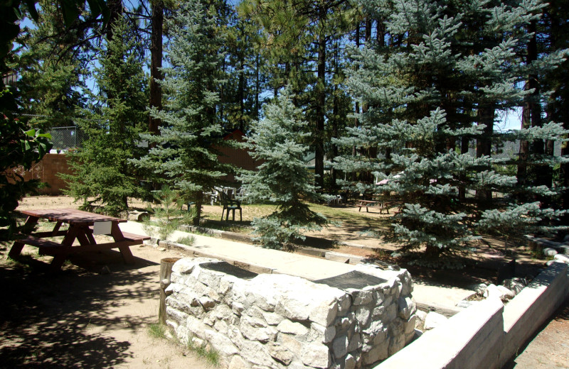 Picnic area at Honey Bear Lodge & Cabins.