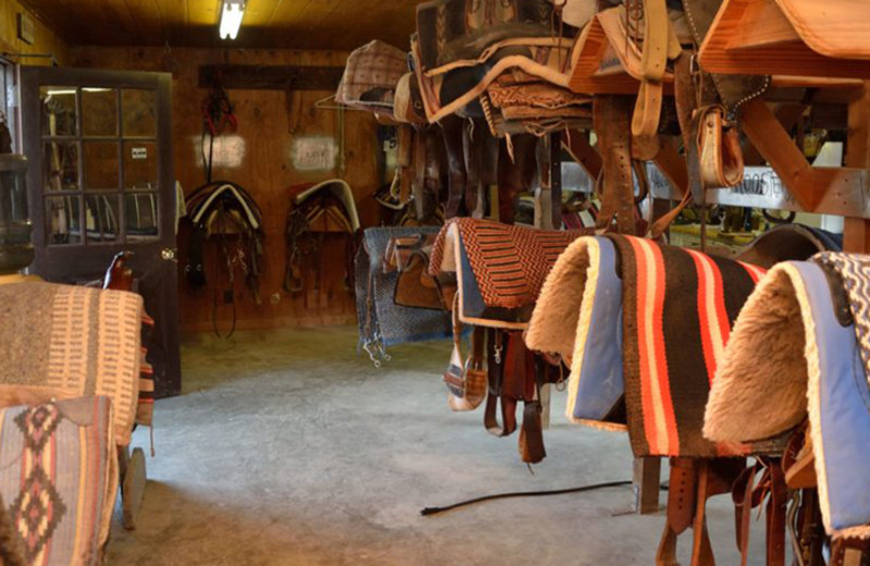 Saddles at Silver Spur Guest Ranch.