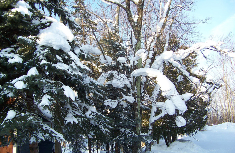 Winter at Peterson's Cottages.