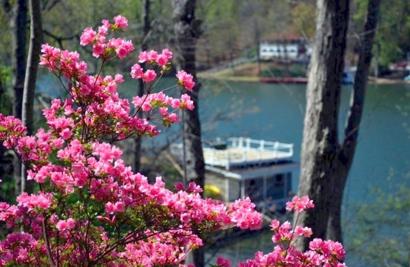 Lake View at Lodge On Lake Lure 