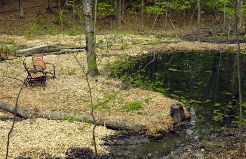 Pond view at Moondance Ridge Bed & Breakfast.