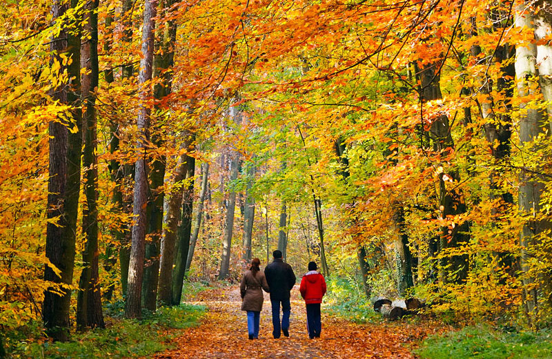 Fall colors at Pine Vista Resort.