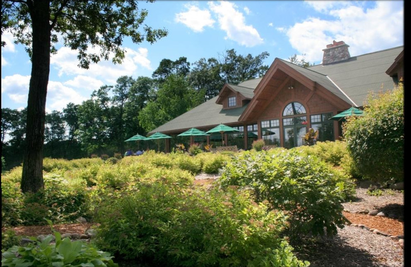 Madden #39 s on Gull Lake (Brainerd MN) Resort Reviews Madden #39 s on Gull Lake (Brainerd MN) Resort Reviews