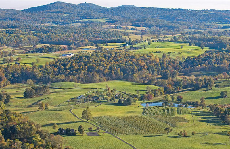 Winery at Salamander Resort & Spa.