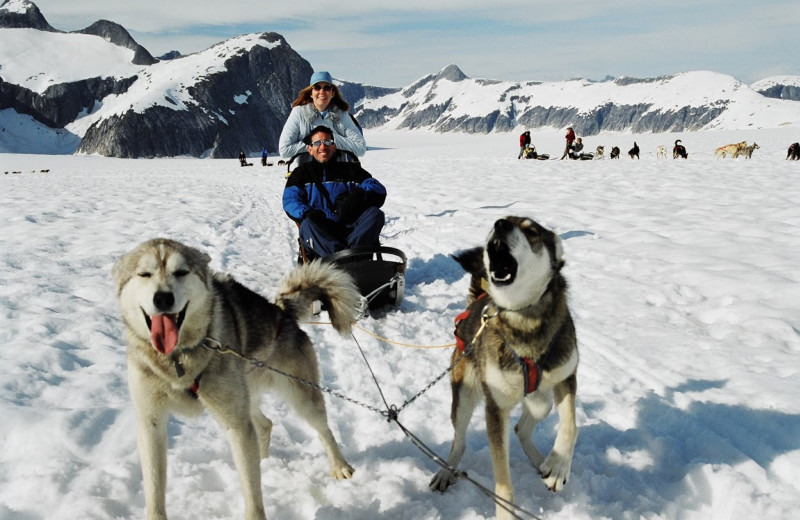 Dog sledding at Pearson's Pond Luxury Inn and Adventure Spa.