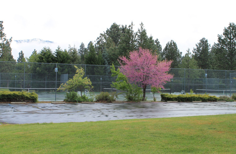 Tennis at Mount Shasta Resort.