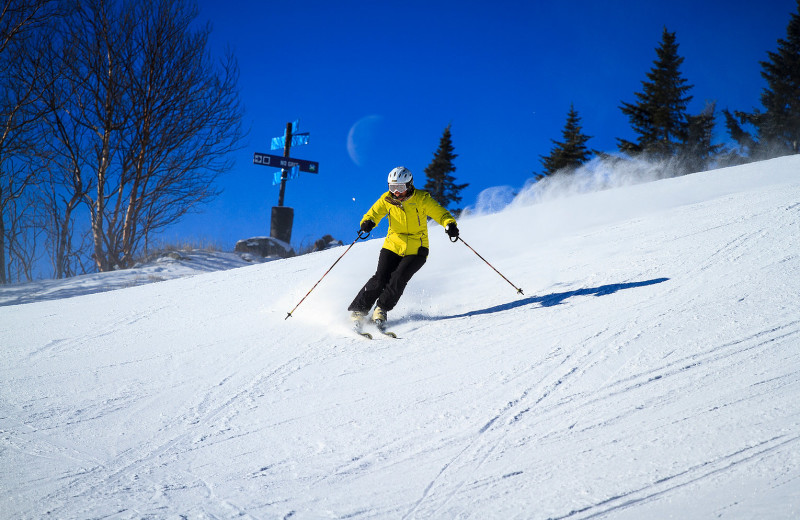 Ski near Black Bear Lodge.