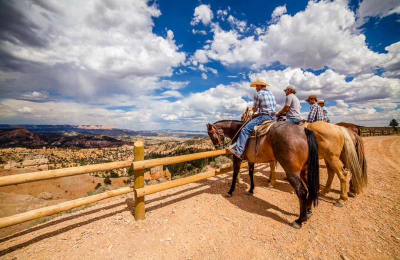 Horseback riding at Best Western Plus Ruby's Inn.