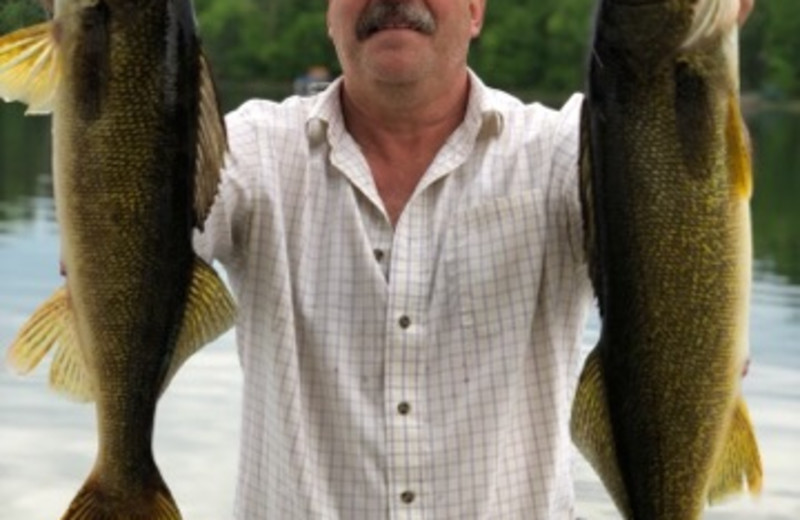 Beautiful Walleyes from Little Mantrap Lake