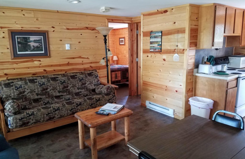 Cabin living room and kitchen at Northern Lights Resort.