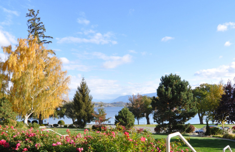 View of grounds at Lakeside Lodge & Suites.