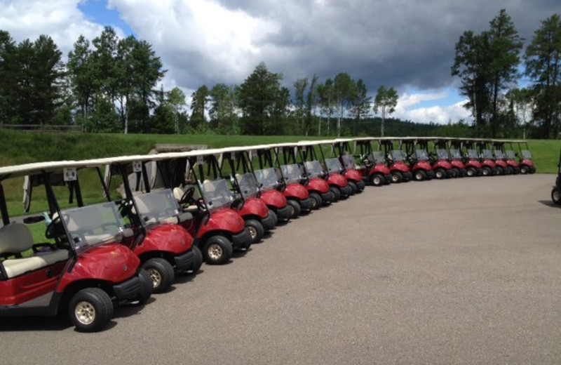 Golf carts at Giants Ridge Golf and Ski Resort.