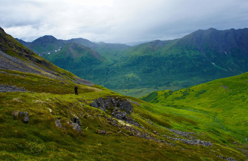 Mountains at The Alaska Adventure Company.