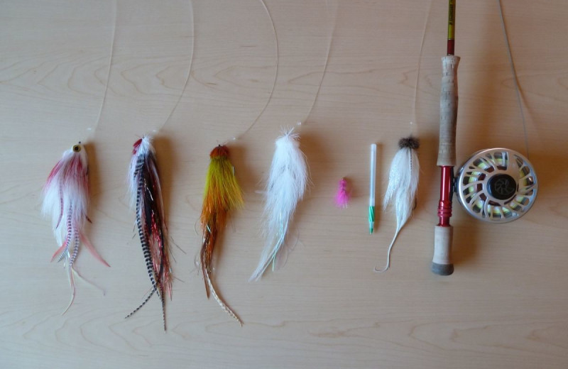 Fishing at Fishing at Wolseley Lodge.