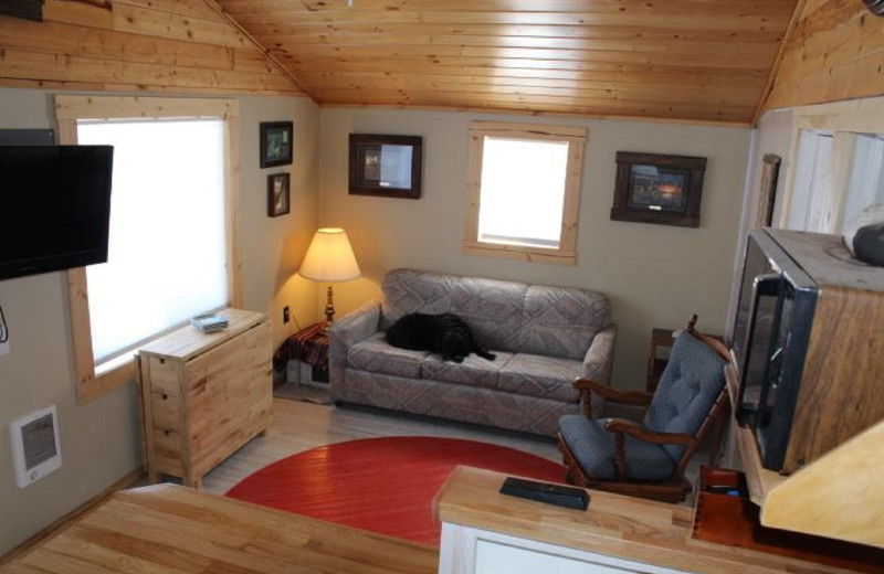 Cabin living room at The Lodge on Otter Tail Lake.