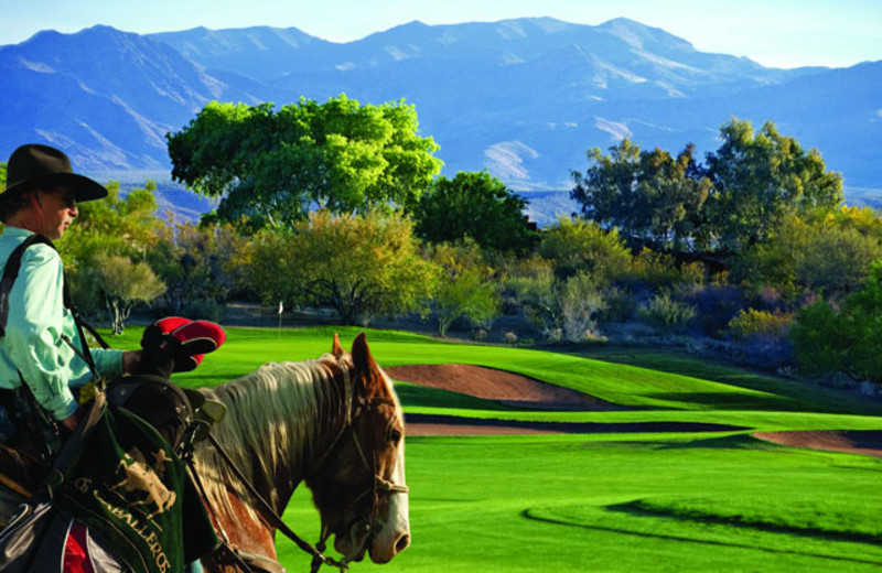 Golf course at Rancho De Los Caballeros.