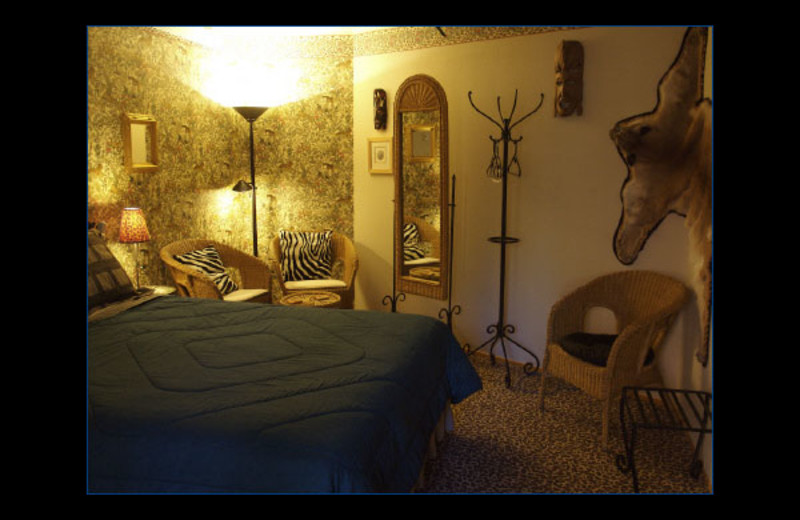 Africa bedroom at Coyote Blues Village B&B.