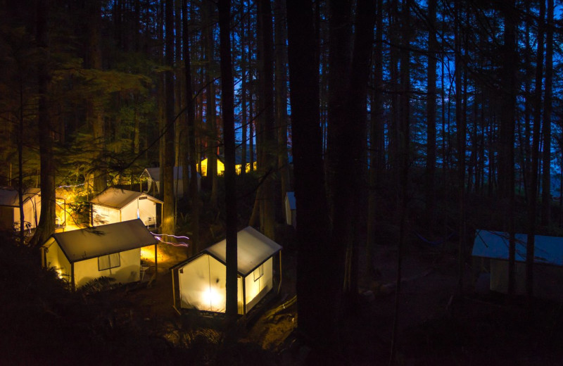 Tents at Orca Camp.