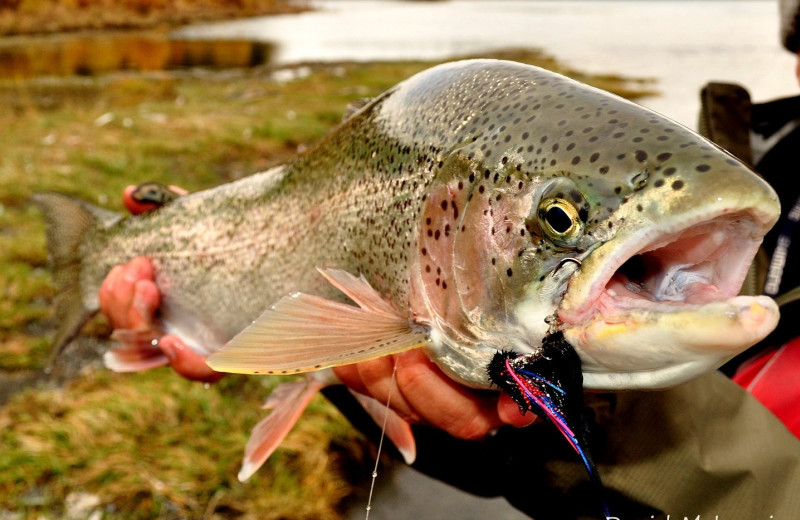 Fishing at Kenai River Drifter's Lodge.