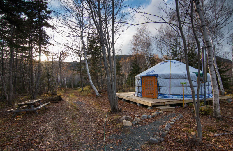 Guest room at Cabot Shores Wilderness Resort.